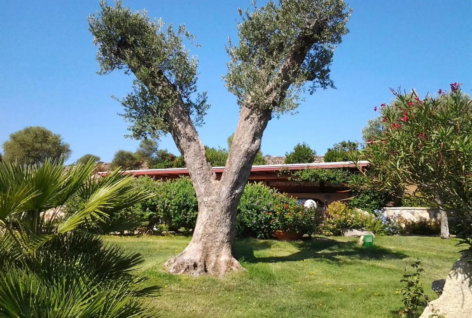 La Casa Del Mirto Hotel Palau